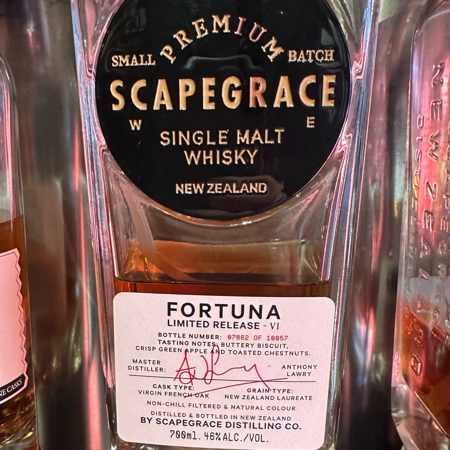 Scapegrace Fortuna VI