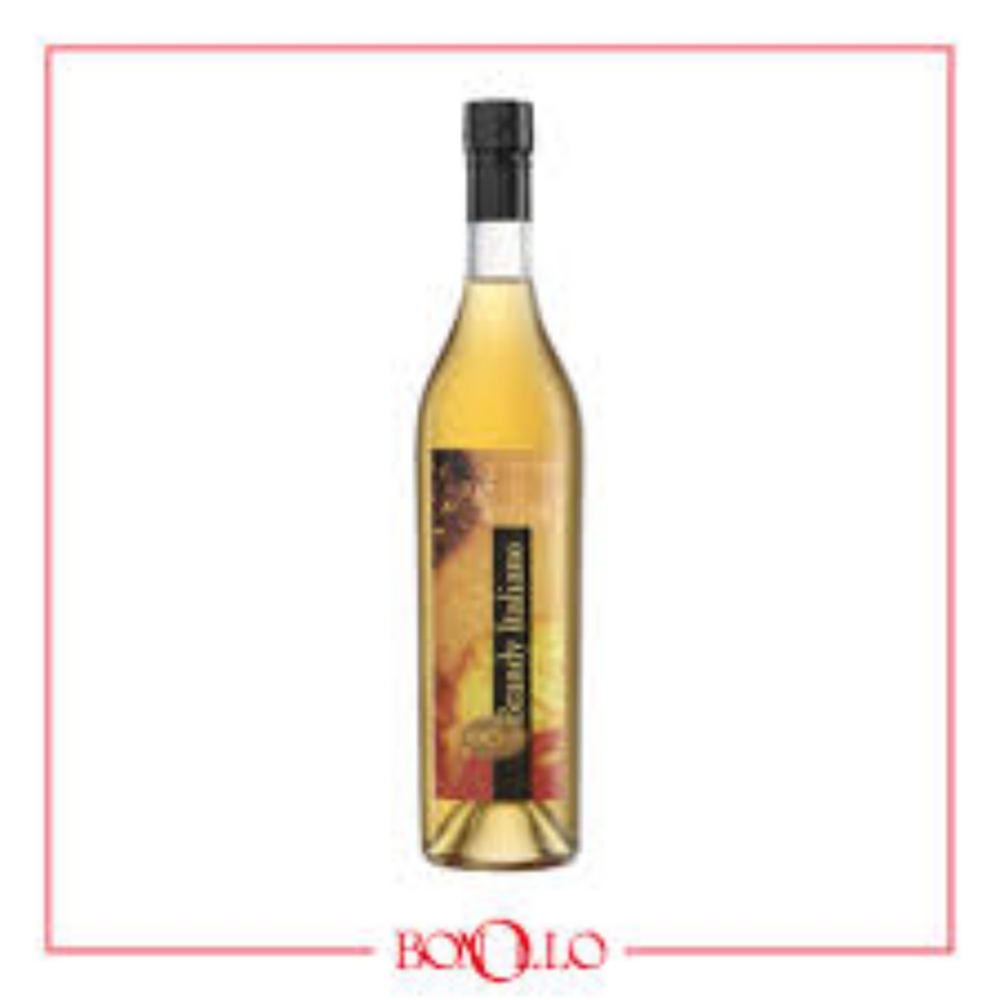 Distillerie Bonollo Ars Distillandi Brandy Italiano