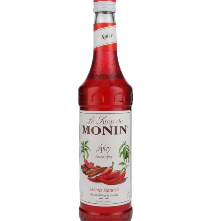 Le Sirop de Monin Spicy