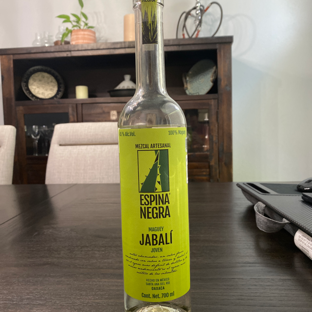 Espina Negra Maguey Jabalí Joven