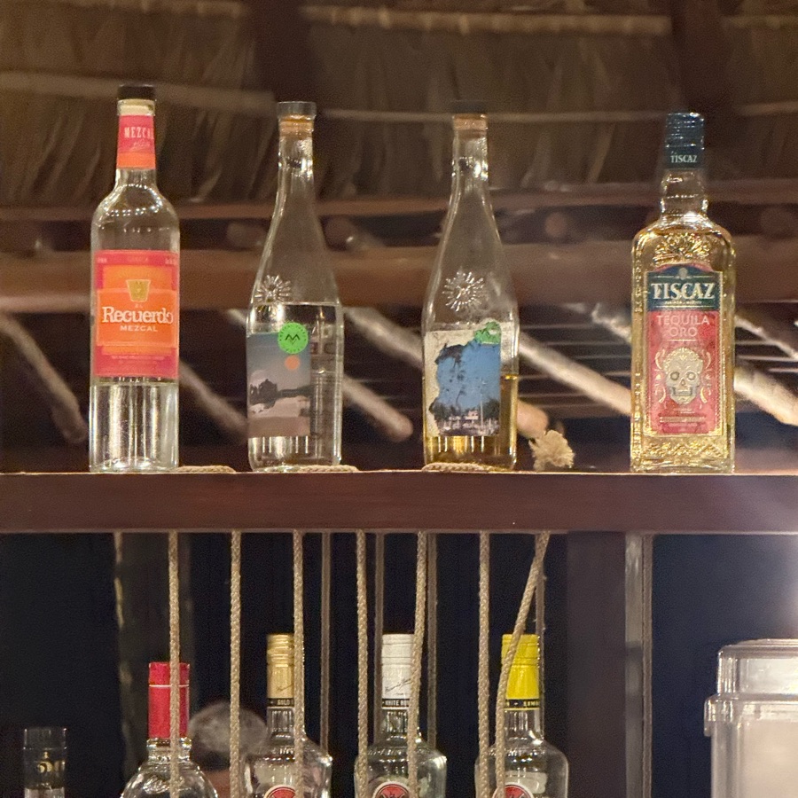 El RECUERDO DE OAXACA MEZCAL