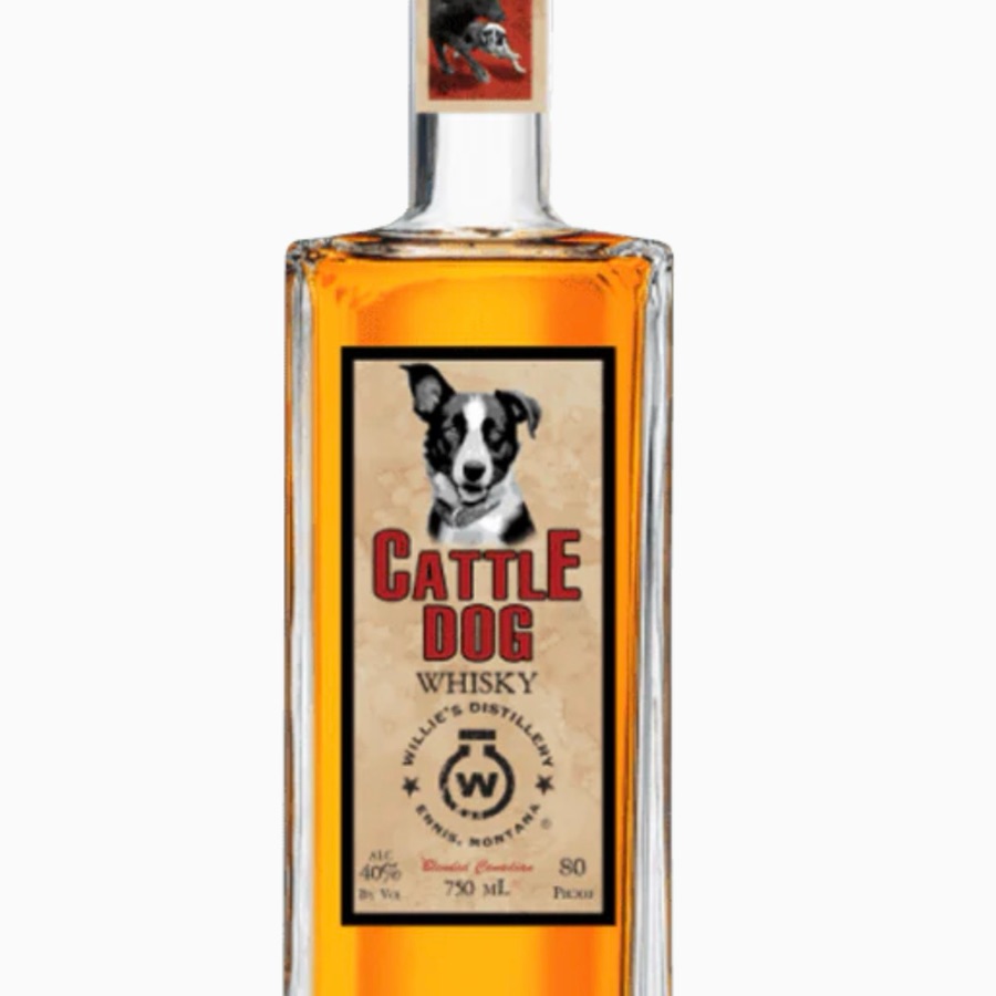 Cattle Dog