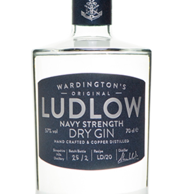 Ludlow Navy Strength Dry Gin