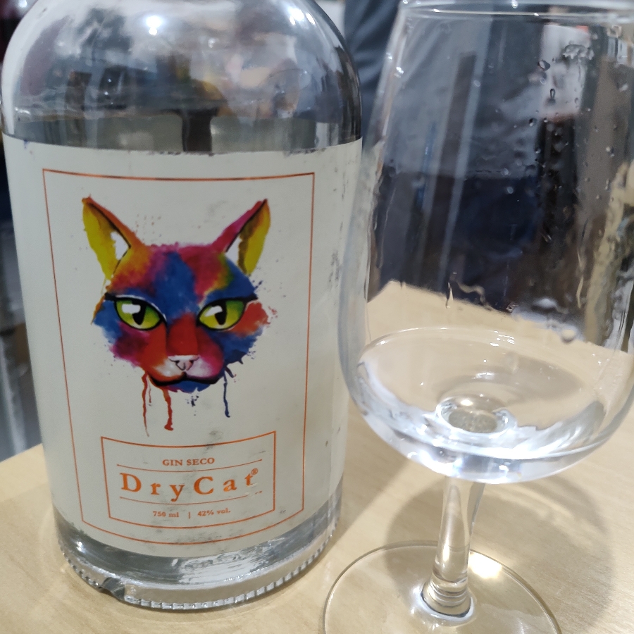 DRYCAT GIN SECO