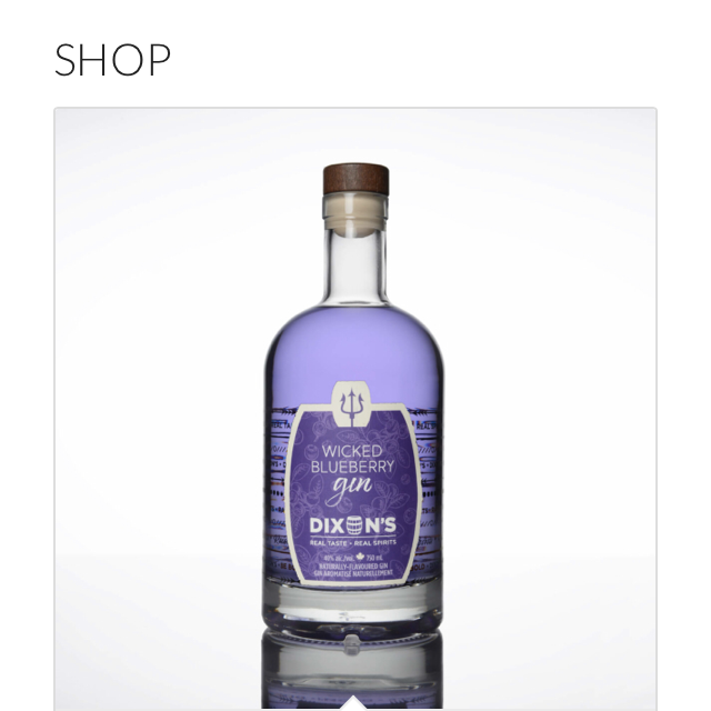 Dixon's Wicked Blueberry Gin