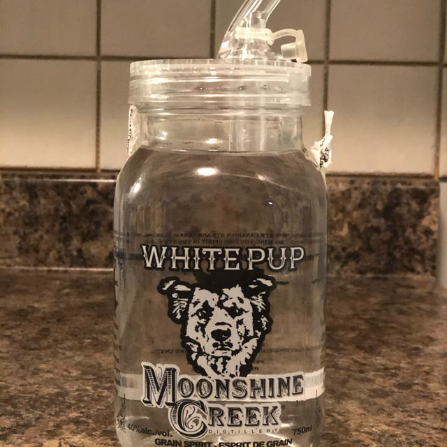 Moonshine Creek White Pup