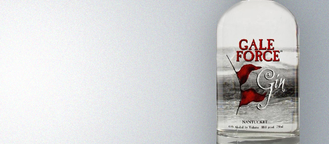 Gale Force Gin