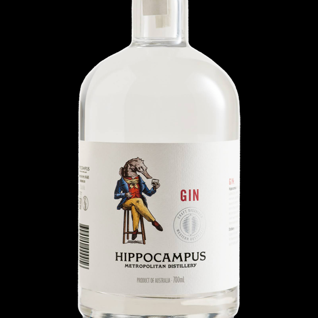 Hippocampus