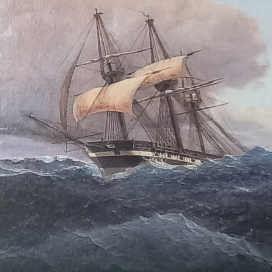 A.H. Riise Royal Danish Navy Strength