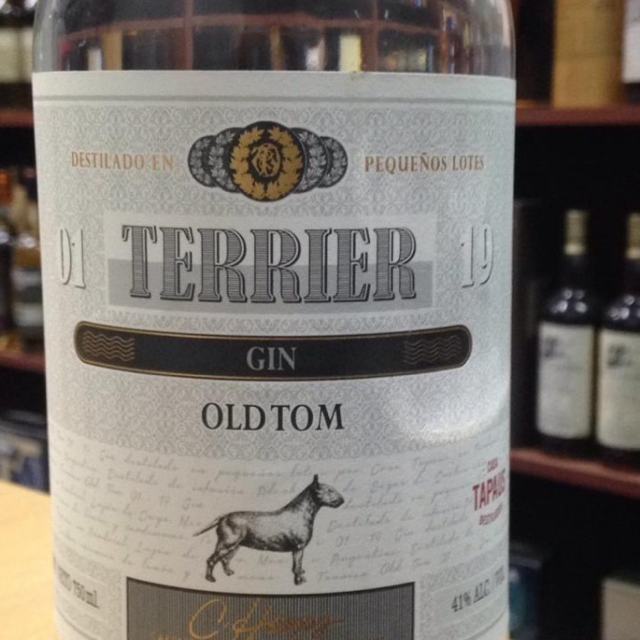Terrier Old Tom