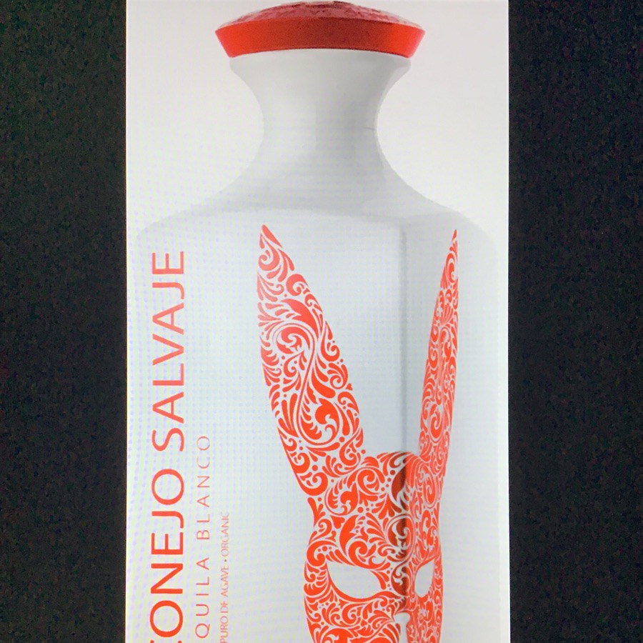 Conejo Salvaje Blanco