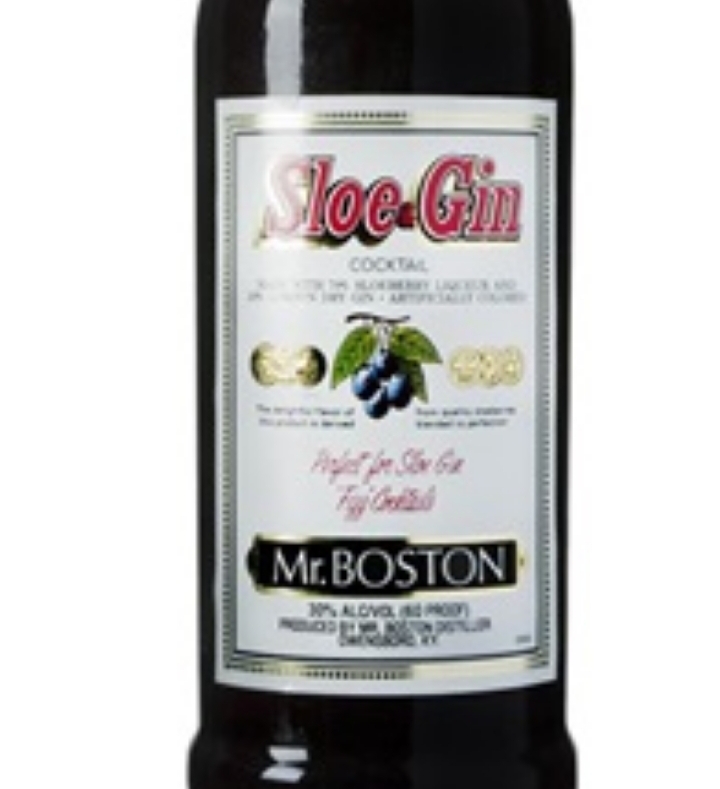 Mr. Boston Sloe Gin