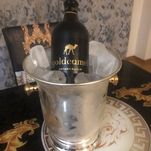 goldcamel