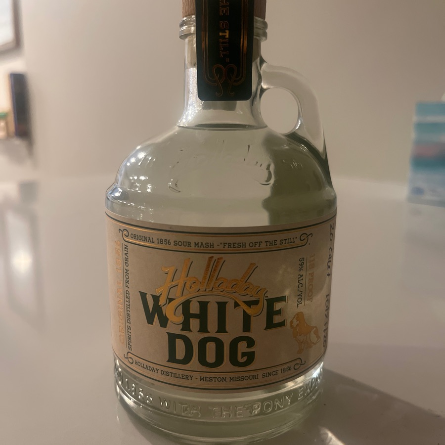 Holladay White Dog