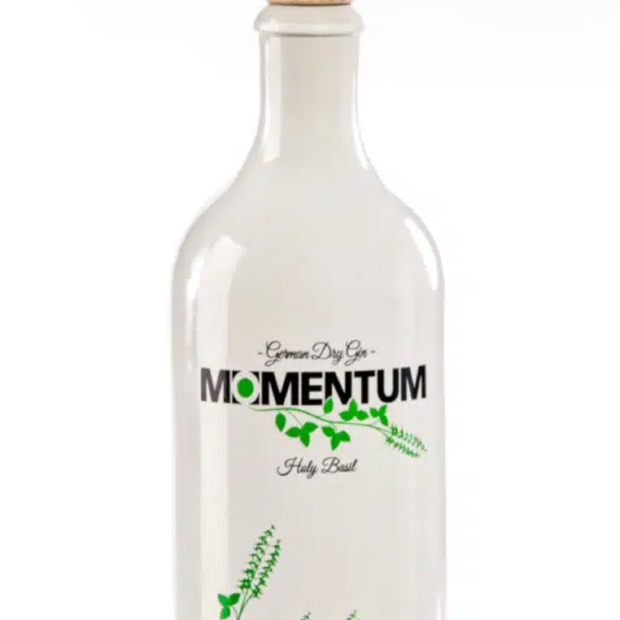 Momentum