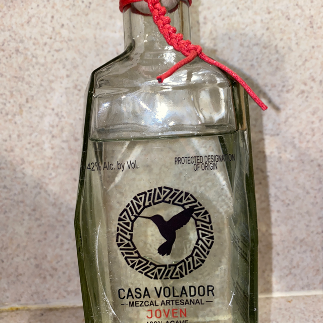 Casa Volador Joven