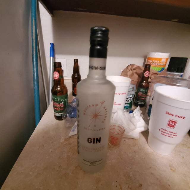 Western reserve distillers organic gin