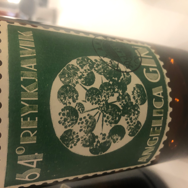64° Reykjavik Angelica Gin