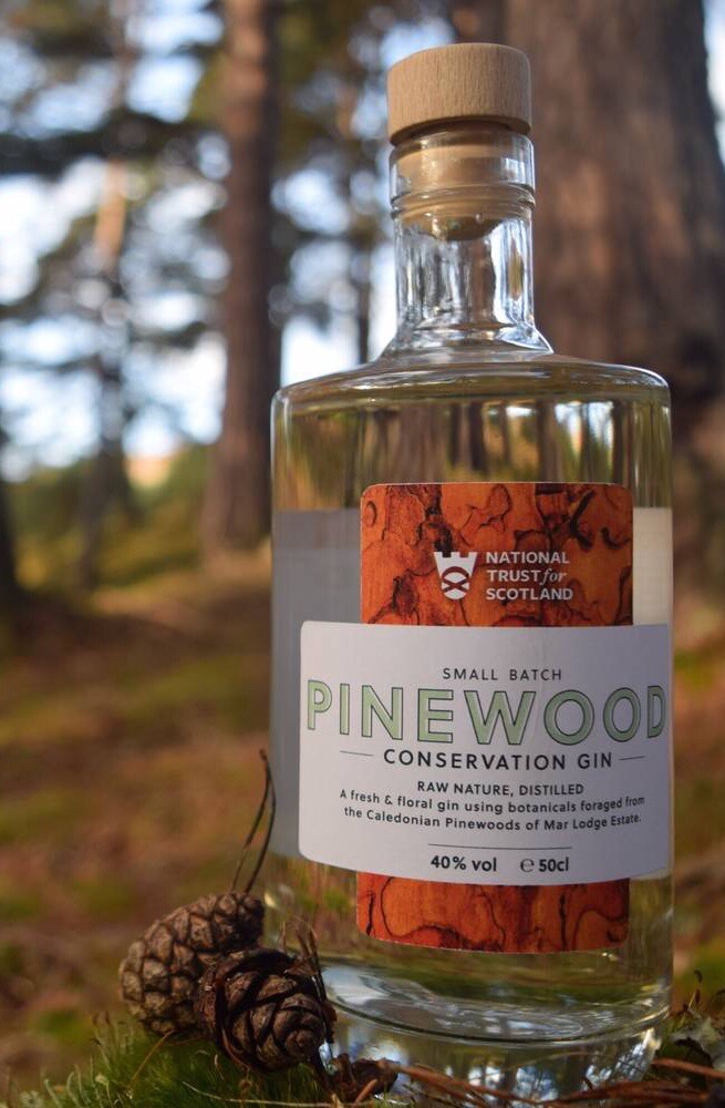 Pinewood Gin