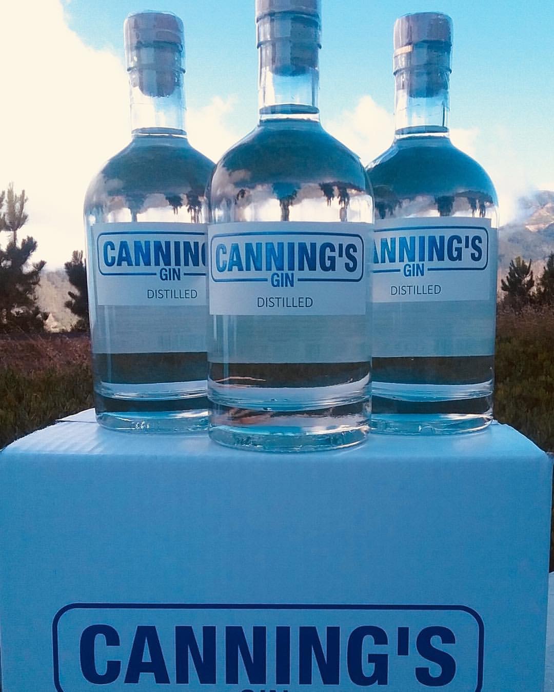 Canning's gin