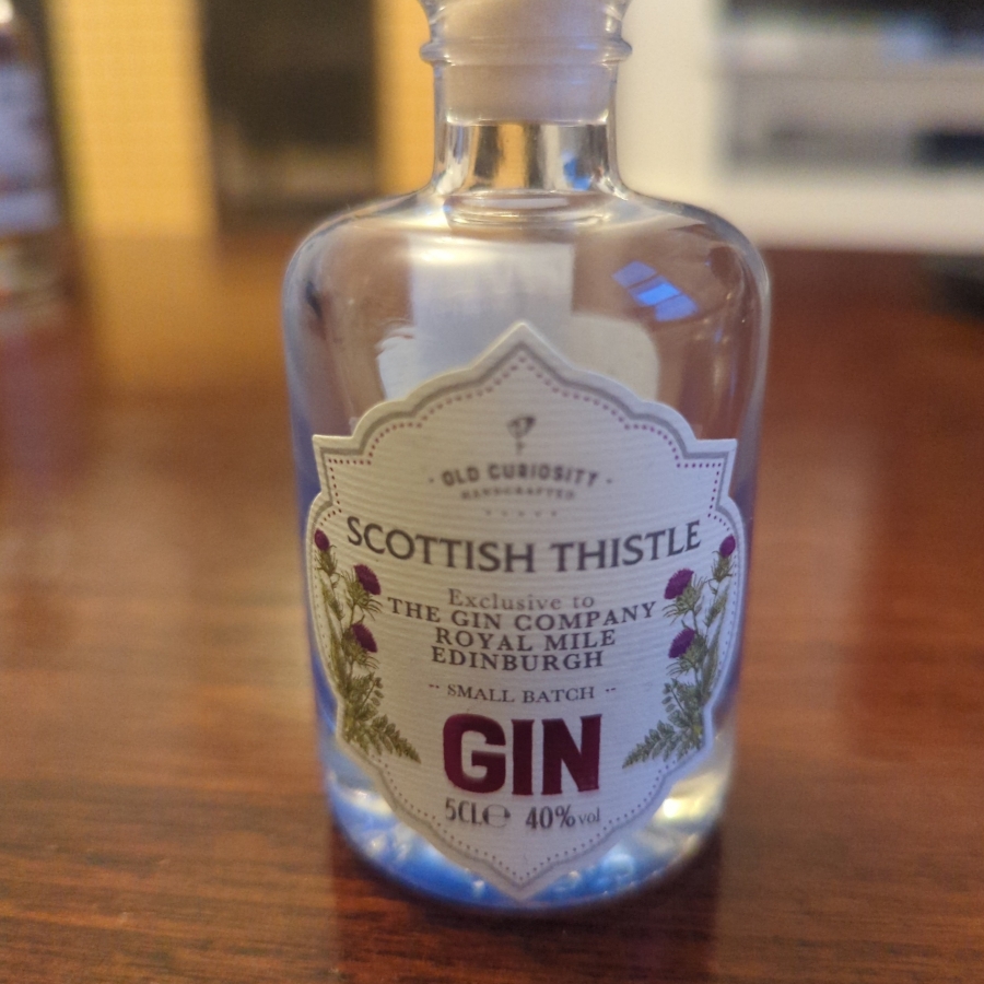 Scottish Thistle