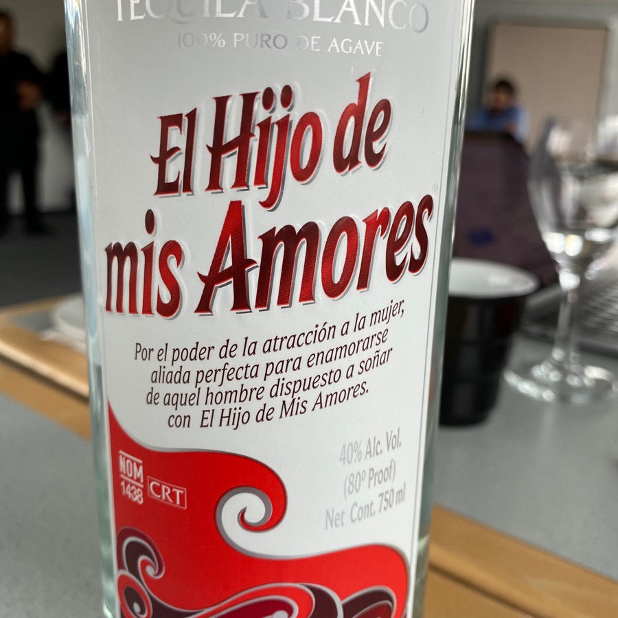 El Hijo de mis Amores