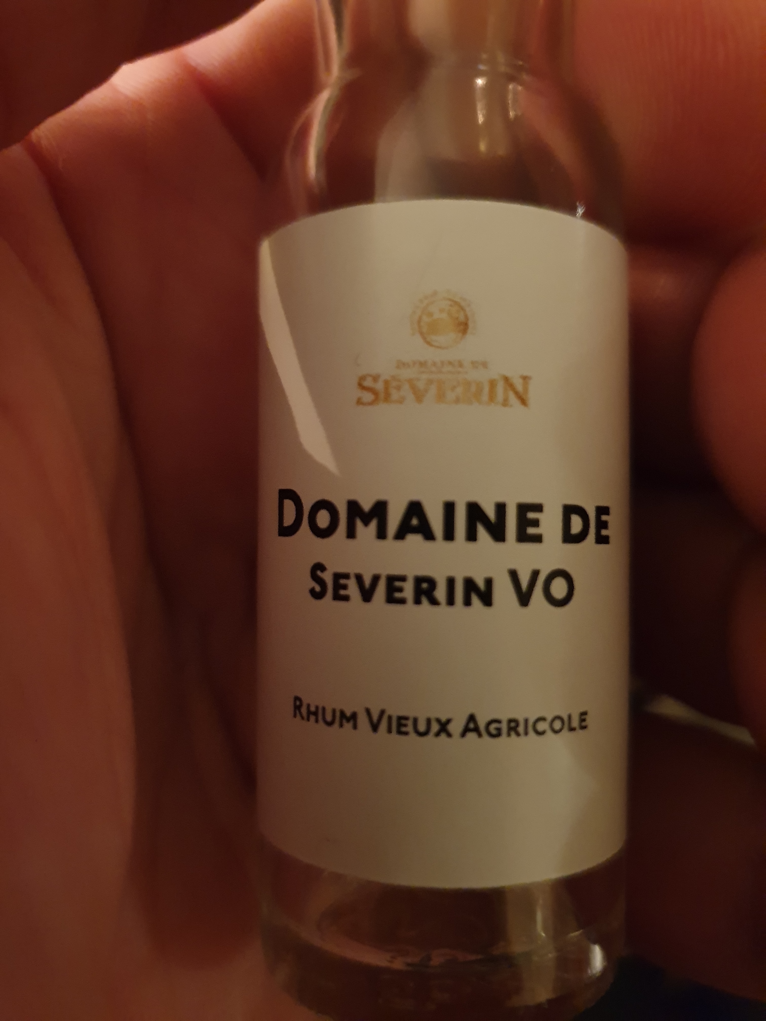 Domaine de Severin VO
