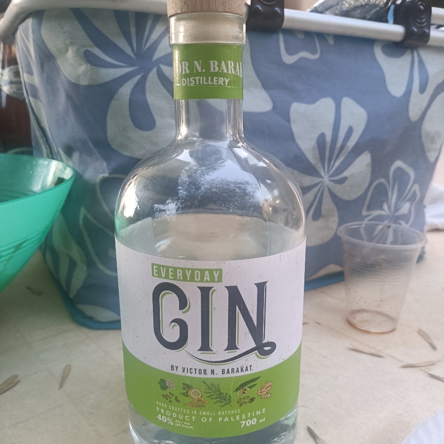 Everything Gin - by Victor N. Barakat