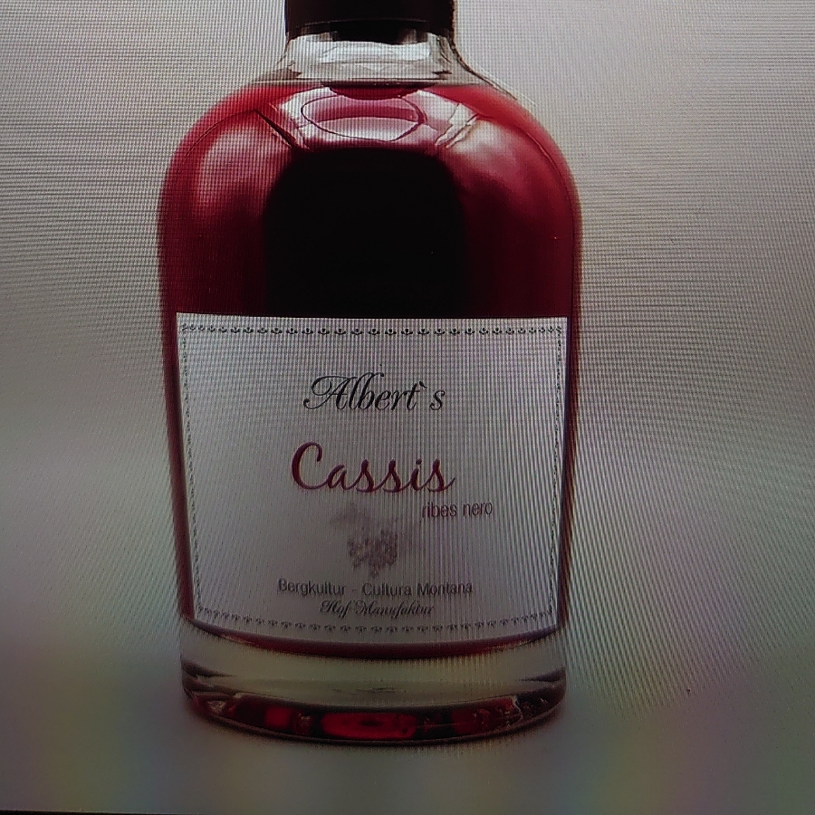 Albert's schwarze Johannisbeere
