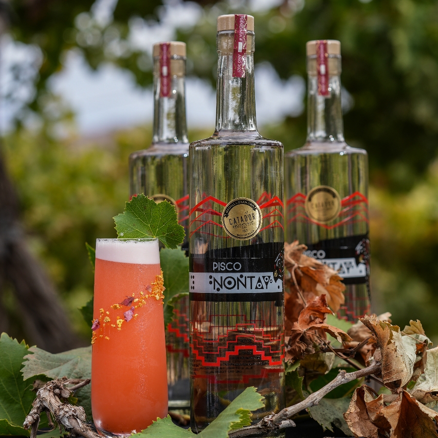 Pisco Nontay Reservado Blanco