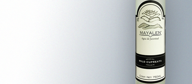 Mayalen Agua de Juventud Wild Cupreata Mezcal