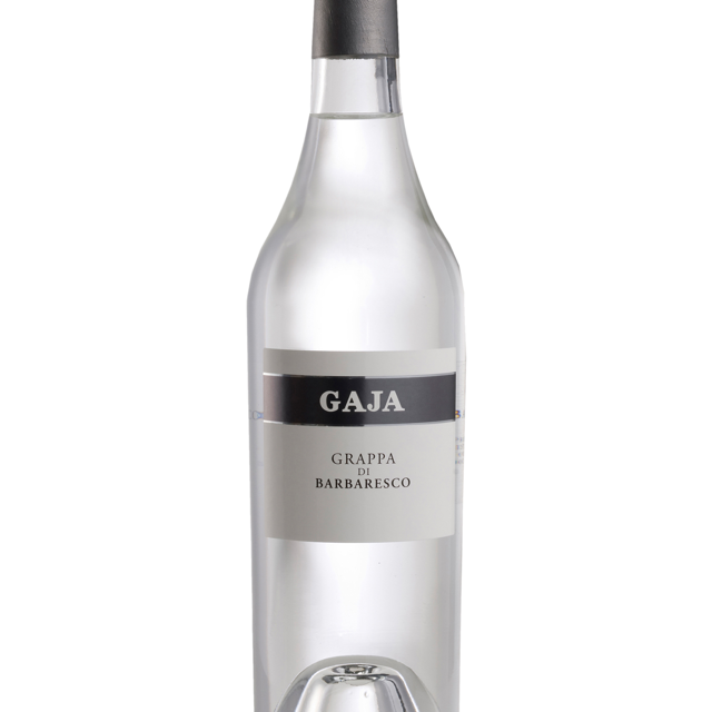 Gaja