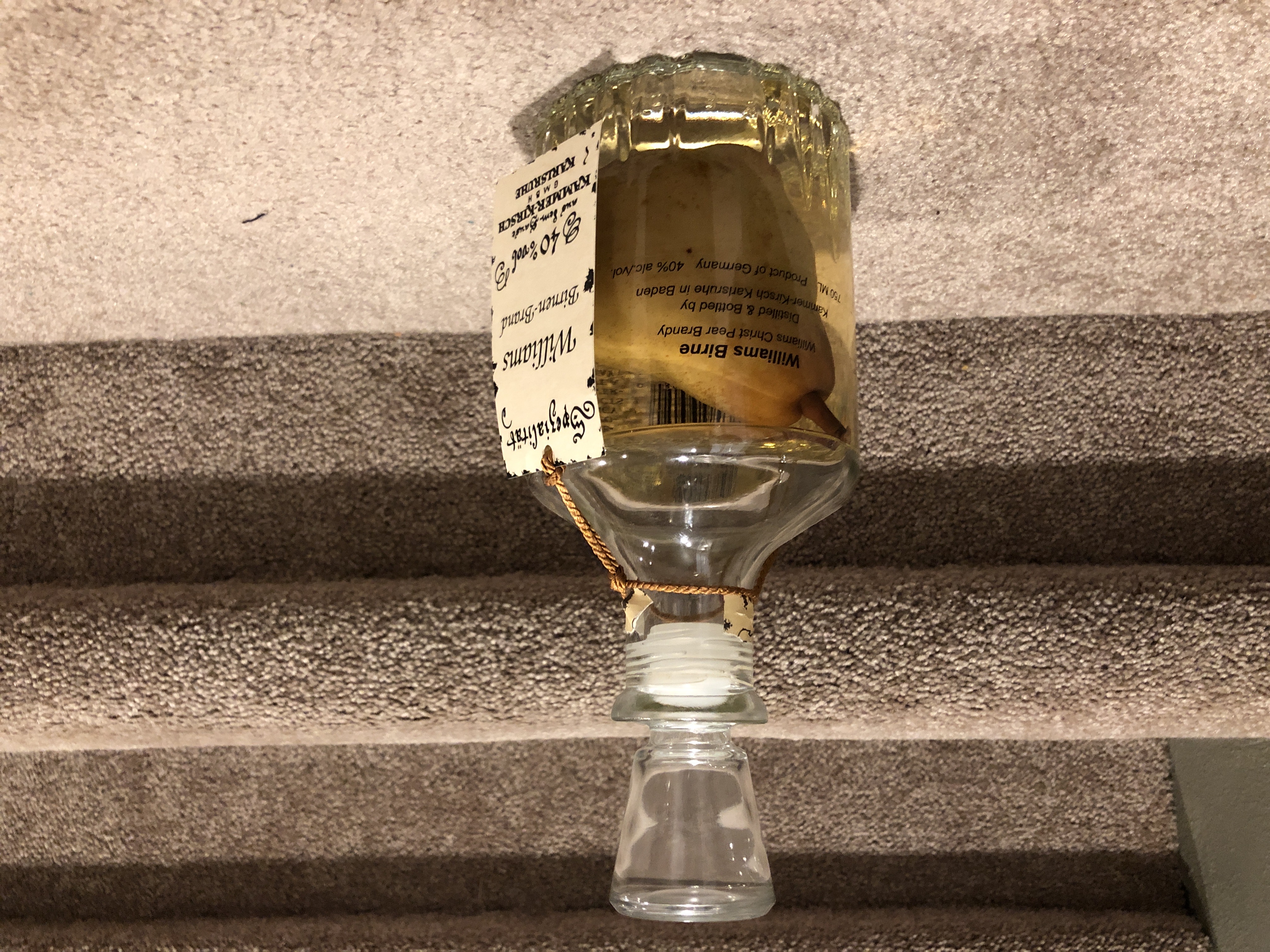 Kammer Pear in a Bottle
