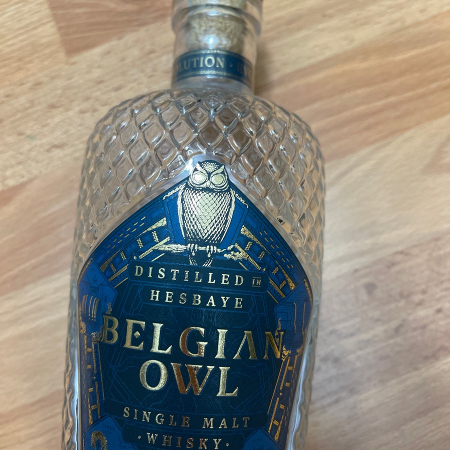 Belgian Owl Hesbaye