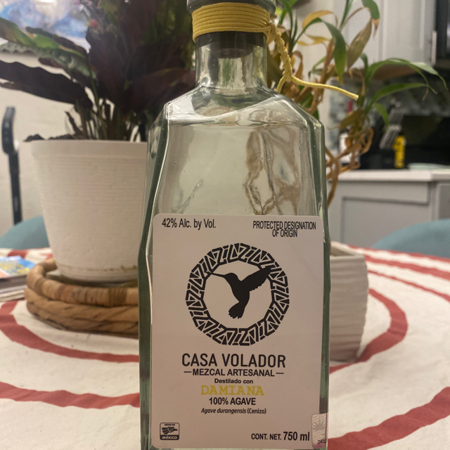 Casa Volador Damiana
