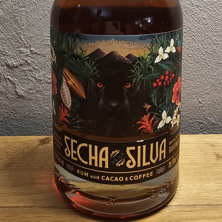 secha de la silva