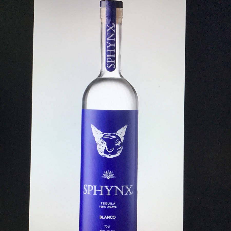 Sphynx Blanco