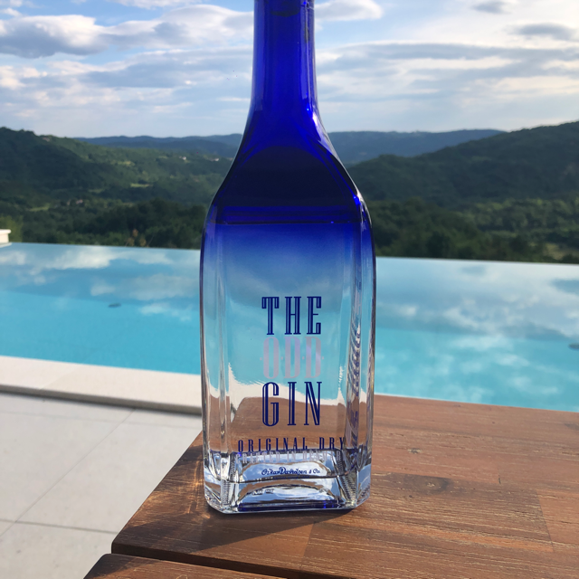 The Odd Gin