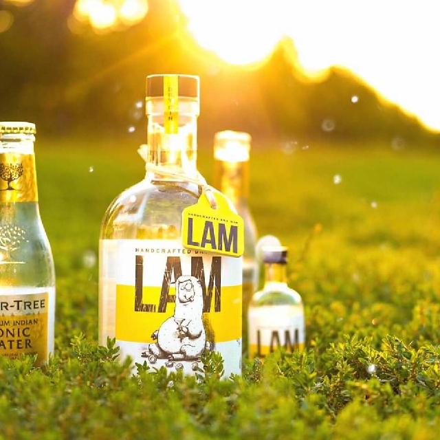 Lam Gin