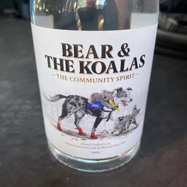 Bear And The Koalas