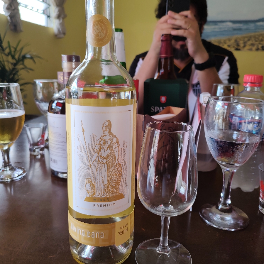 CACHAÇA DIVINA CANA MINERVA CASTANHEIRA