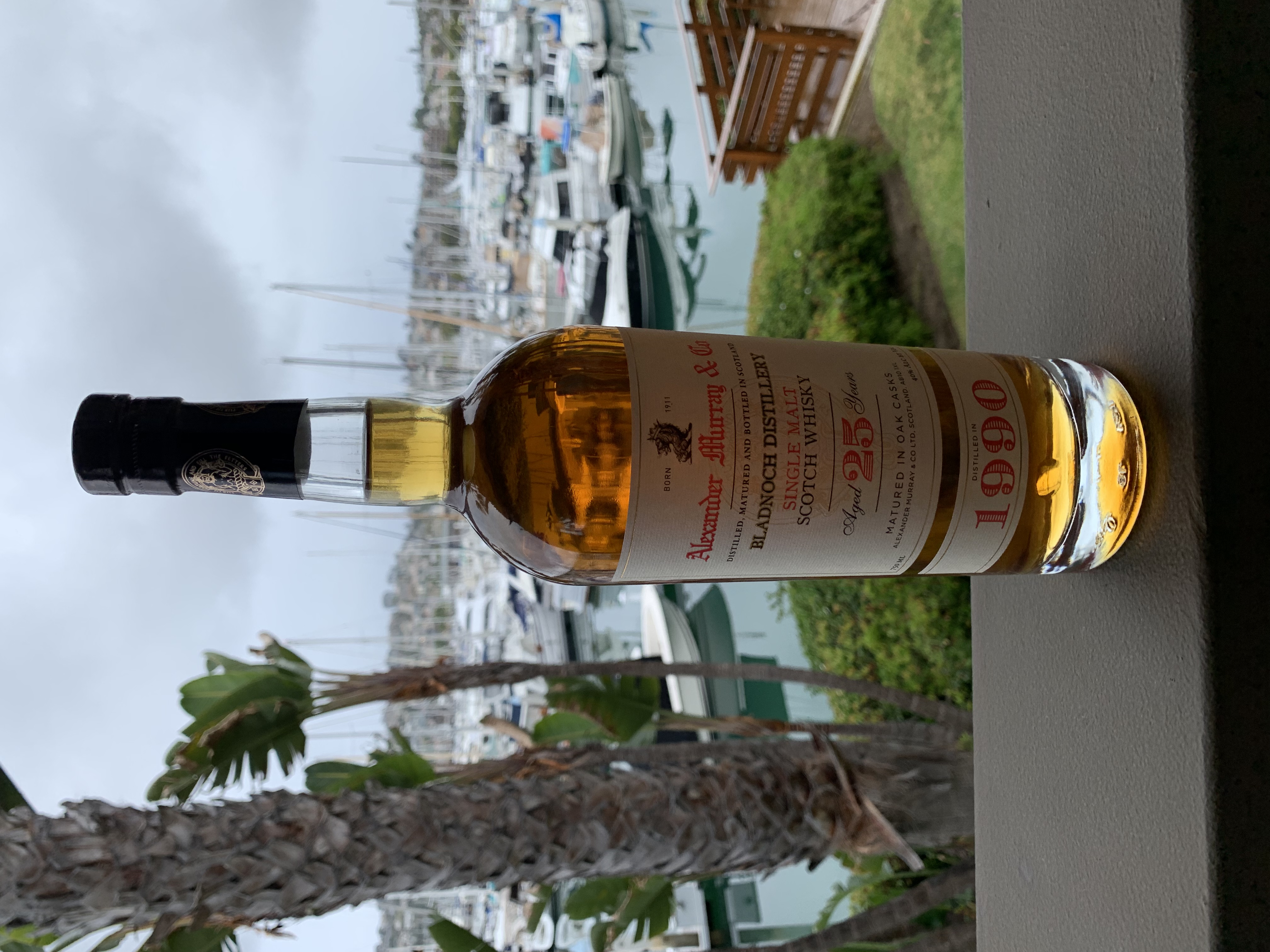 Bladnoch 1990 25 Year (Alexander Murray & Co.)