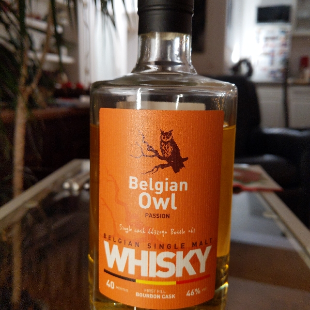 Belgian Owl Passion