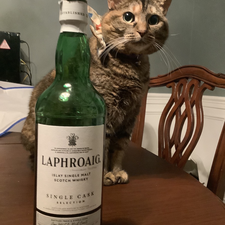 Laphroaig Single Cask Selection (2023 r\bourbon)