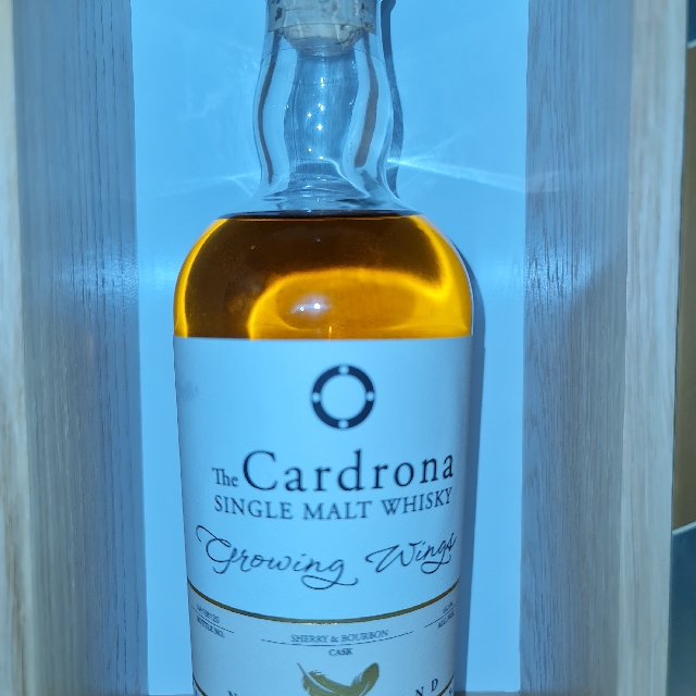 Cardrona Growing Wings