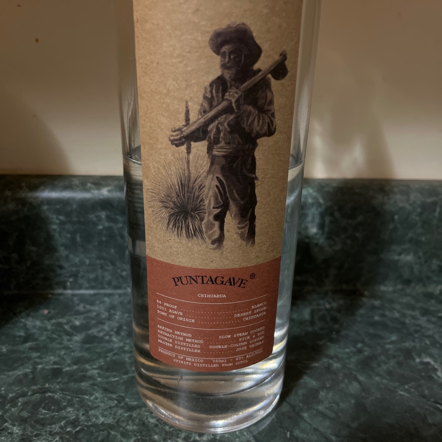 puntagave