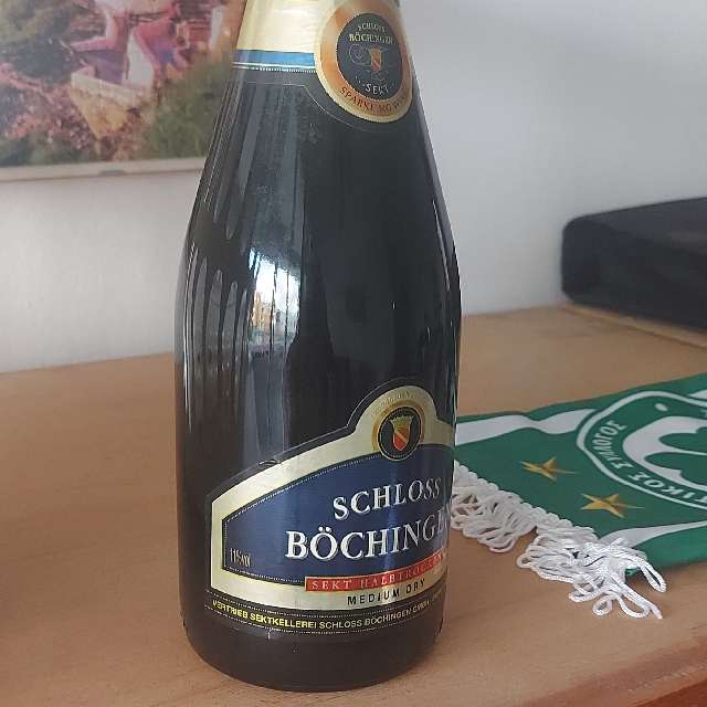Schoss bochingen