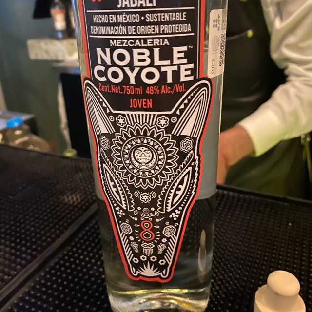 Noble Coyote  Jabalí Joven