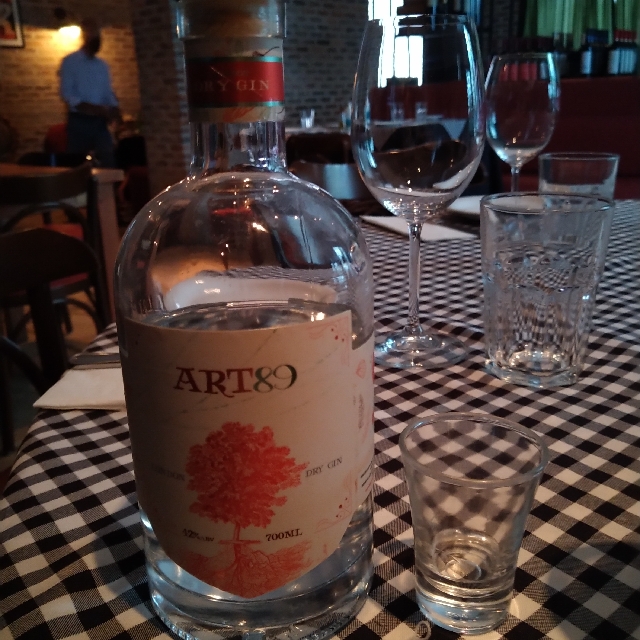 GIN ART89