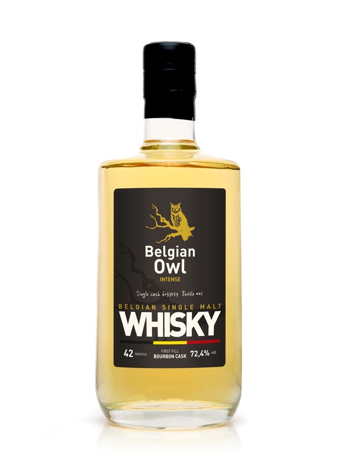 Belgian Owl Intense